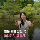 대동사 | 일본 나라공원 필수 코스 도다이지 대동사 위치 및 운영시간 안내