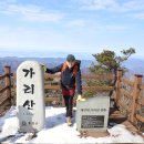 가리산 Daum카페