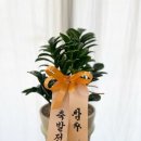 창수카매니저
