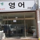 고양이미용연구소 이미지