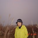 제니모텔 이미지