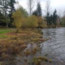 여행치킨 이미지