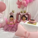세잔반에 온지 100 일 되었네요 이미지
