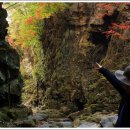 행복나라 이미지