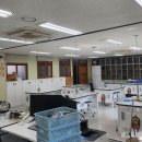 천왕초등학교 이미지