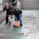 강북유통 이미지