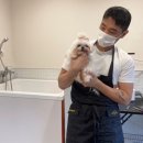 혜원켄넬 이미지