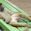 다섯번째이야기 이미지