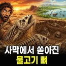 사막 땅 밑을 파자 1미터짜리 물고기 뼈가 쏟아졌다 이미지