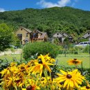 덕유산계곡펜션 이미지