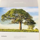 (주)라파젠