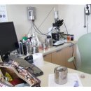 솔펫 동물병원 이미지