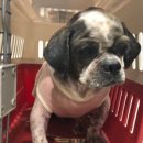 정관지구대 이미지