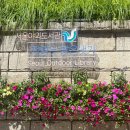 냇가에앉아서 | 책 읽는 맑은 냇가 | 종로 직장인이 알려주는 하반기 재개장! 준비물, 혹서기 야간운영