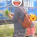 이리석암초등학교병설유치원 이미지