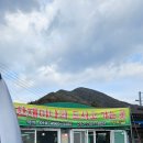 청도비닐 | 청도 미나리 삼겹살 비닐하우스 식당 방문후기 카페1996 방문리뷰