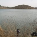 진짜순대 이미지