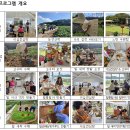 농촌진흥청, 밀 새싹 치유 프로그램으로 노년층 정신건강 개선 입증＜퍼온글＞ 이미지