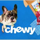 미국 1위 펫커머스 ‘Chewy’, 한국 시장에 통할까?