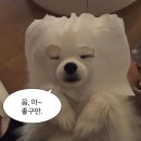 위스키서울 - 강서구 공항대로 247 | 위스키서울