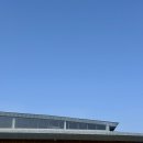 휴800 | 제주 애월 카페 제주당｜800평 대형 베이커리 카페 후기