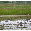 정길남농장 이미지