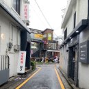 와인그레이스 이미지