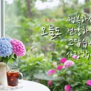 90년대초 추억의 노래모음, 90년대 초반에 히트했던 발라드 및 댄스. 추억의 명곡 40곡, 하루종일 들어도 좋은노래 이미지