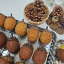 도토리케이크 | 🐿️도토리케이크 class후기🐿️