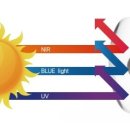 안경나라신창점 이미지