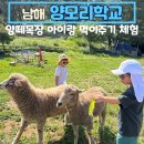 야베스농장 | 남해양떼목장 양모리학교 가족여행 아이랑 체험후기