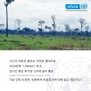 경희대학교 평화복지대학원 이미지