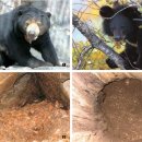 자연이야기 이미지