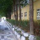 부민초등학교 이미지