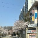 잉글리시아이안양