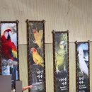 애니몰하우스 | [용인 에버랜드] 추석 연휴 주말 방문기｜서울 근교 가을 나들이(+케데헌 대기줄)