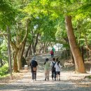 부소산성 삼충사 내 이미지