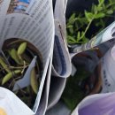 우성농원 이미지