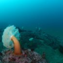 (주)파라다이스포인트 이미지