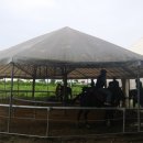 아라뱃길 승마클럽 이미지