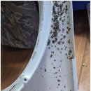 윈드크린 이미지