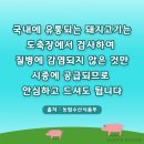 예산이용소