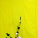 화훼장식 기능사(꽃꽂이) 이미지