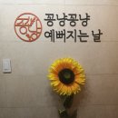 꽁냥꽁냥 예뻐지는 날