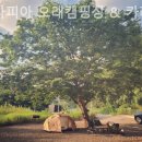 오래캠핑장 이미지