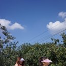 참마음 어린이집 이미지