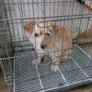 인현 지하상가 이미지