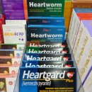 힐탑약국 이미지