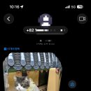댕글 몽글 네이버블로그