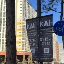 애로우게코 | KAF.코리아 렙타일 포럼 방문후기